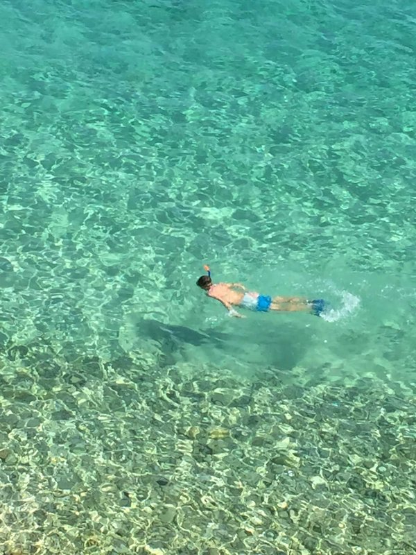 Comment choisir un lot de bols en verre résistant aux micro-ondes pour des repas rapides et sûrs?