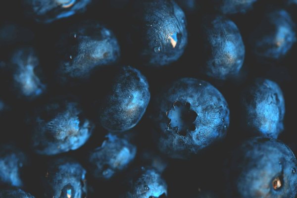 Quels sont les ingrédients pour une tarte aux myrtilles avec une pâte sablée croustillante ?