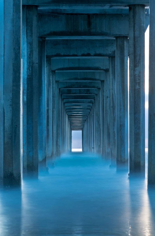 Quels sont les avantages de proposer des plats sans produits laitiers dans un restaurant bio ?