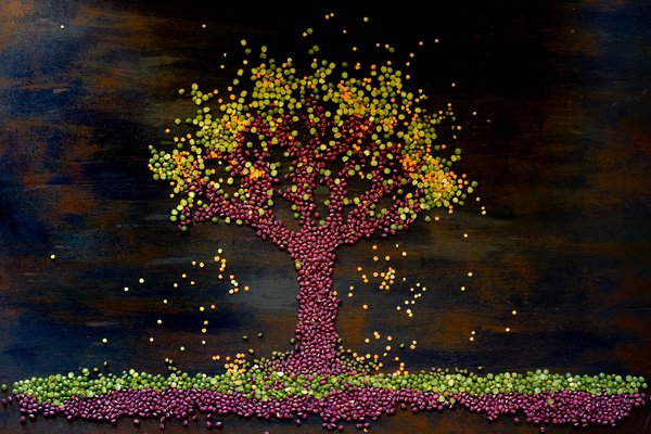 Quelles stratégies pour développer un menu de plats à base de légumes biologiques dans un restaurant de ferme ?